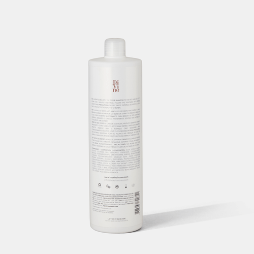 Divine - Shampoo Anti-Frizz 1L