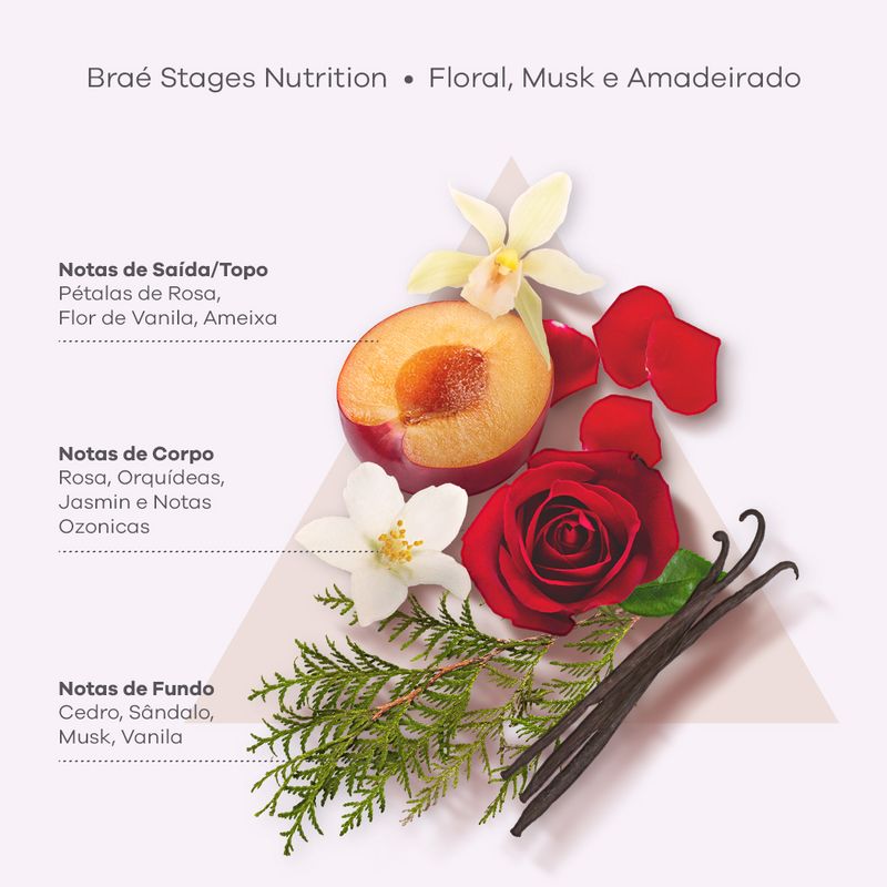 piramides-olfativas-Stages-Nutrition