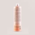 Brae_Go-Curly_Cachos_Shampoo_1L_Verso.jpg