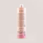 Brae_Go-Curly_Crespos_Shampoo_1L_Verso.jpg