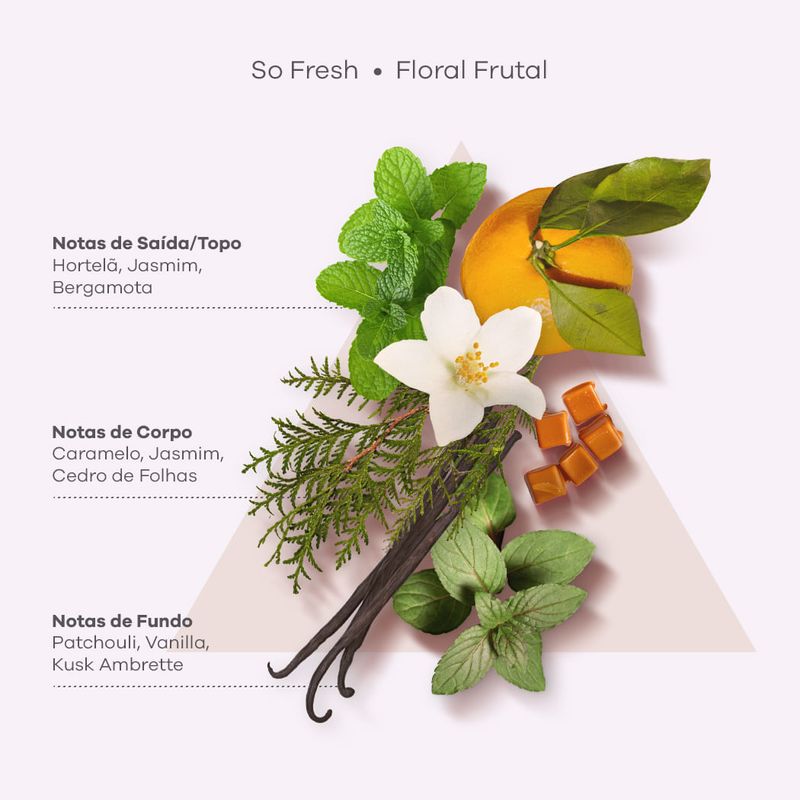 piramides-olfativas-So-Fresh